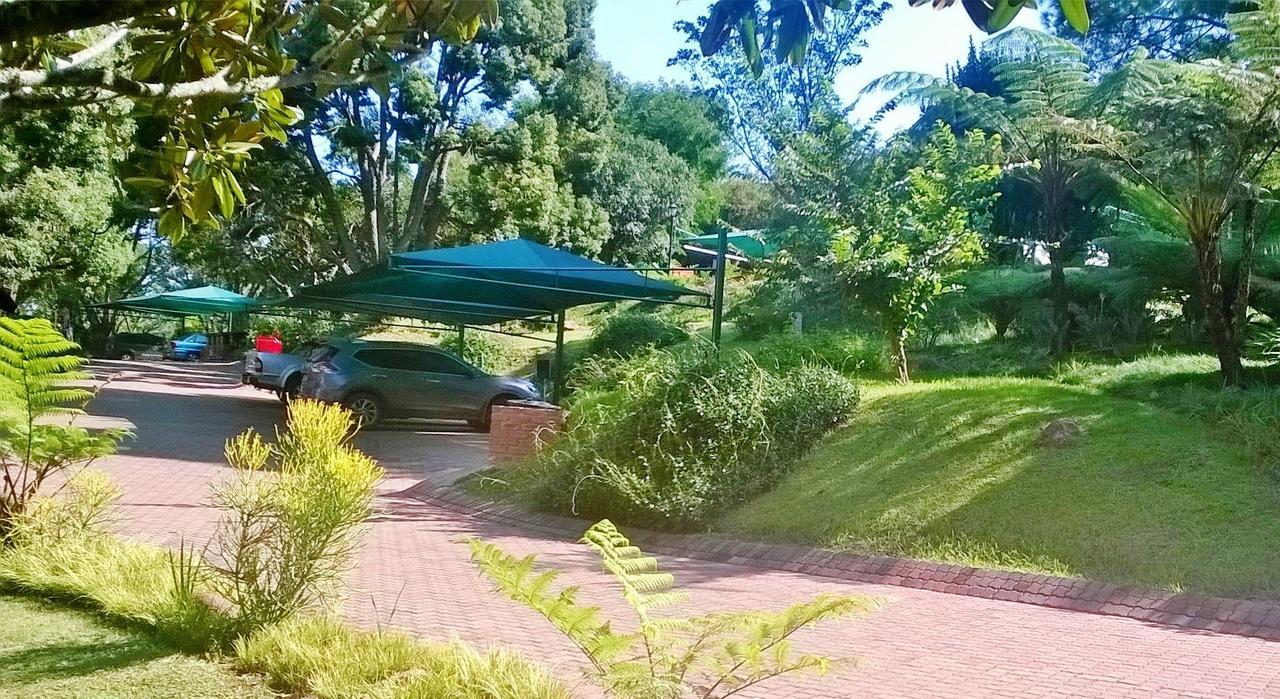 Pine Lake Resort 화이트 리버 외부 사진